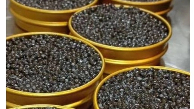 استراتژی‌های صادراتی خاویار و سالمون در صنایع غذایی دادنام