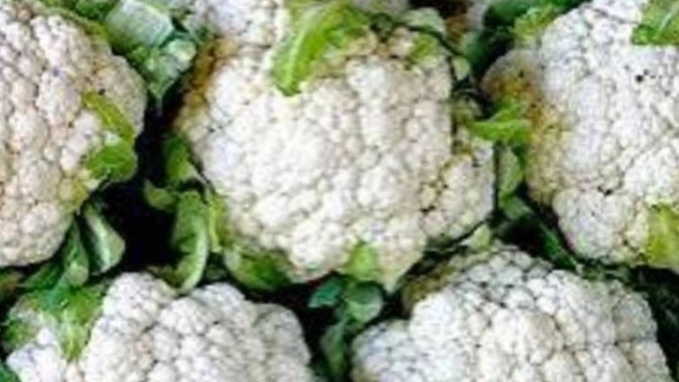 صیفی‌جات برای صادرات از ایران