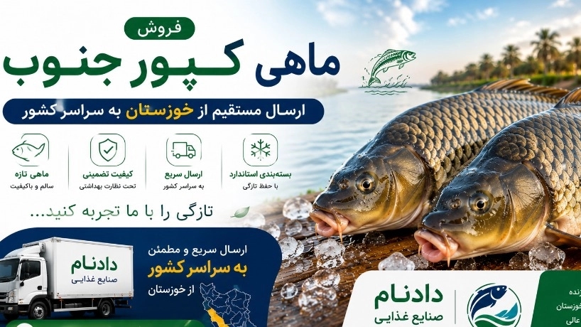 فروش ماهی کپور جنوب و ارسال از خوزستان به سراسر کشور؛ خرید مستقیم با بهترین کیفیت