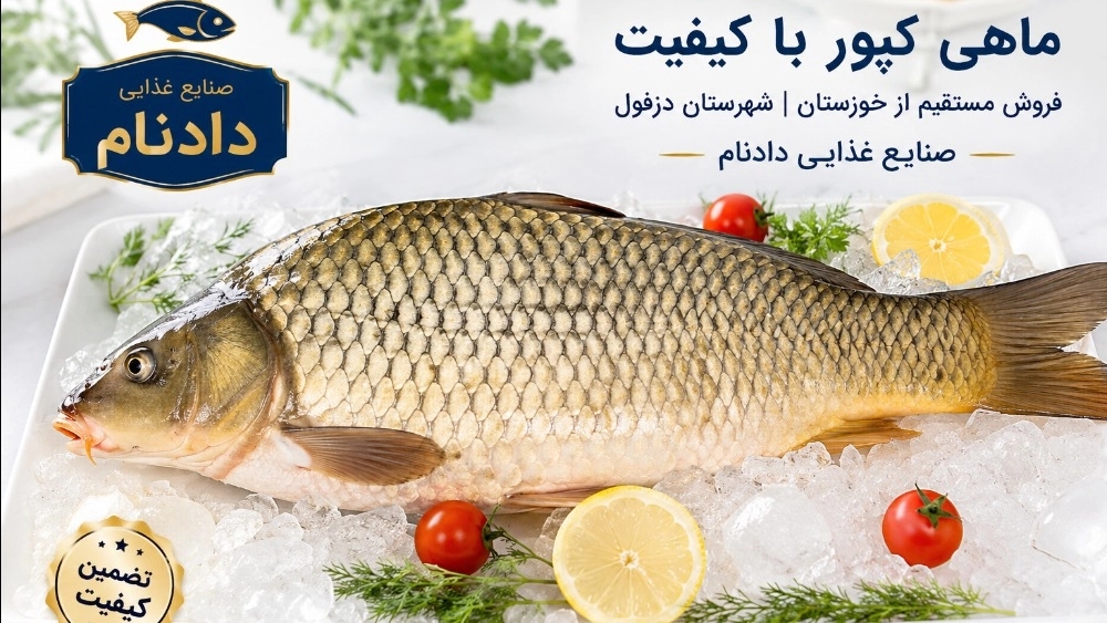 فروش ماهی کپور و ارسال از خوزستان به سراسر کشور | خرید مستقیم با بهترین قیمت از صنایع غذایی دادنام