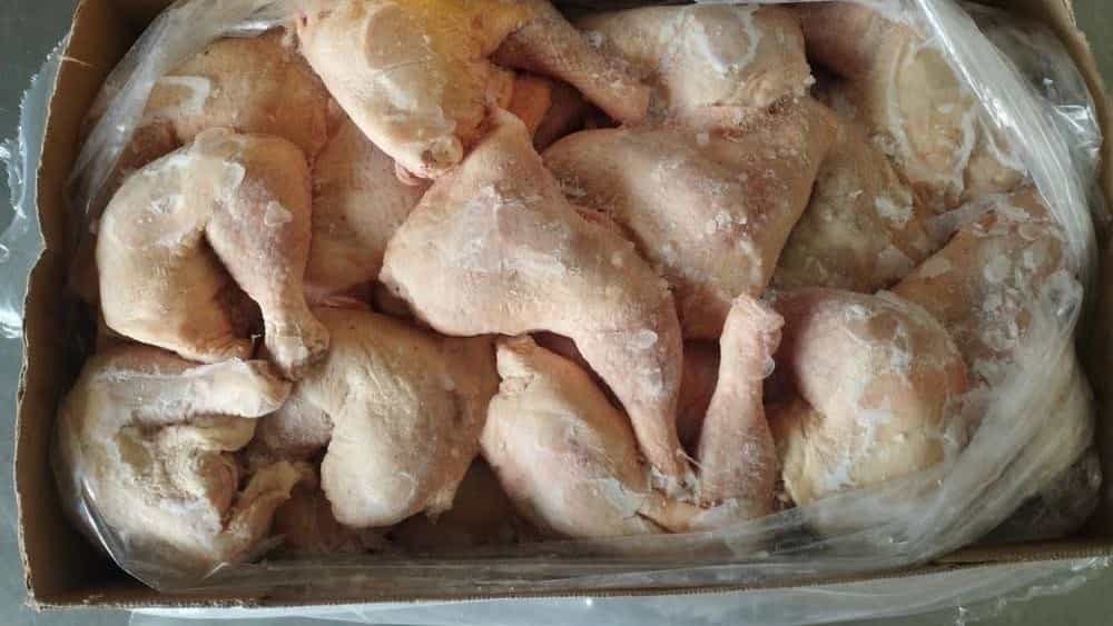 صادرات مرغ منجمد از خوزستان به کشورهای اوراسیا